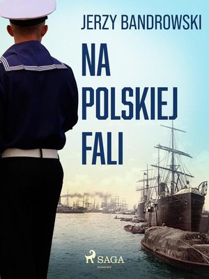 cover image of Na polskiej fali